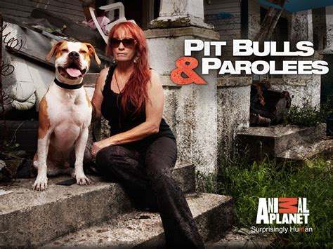 pit bulls and parolees.